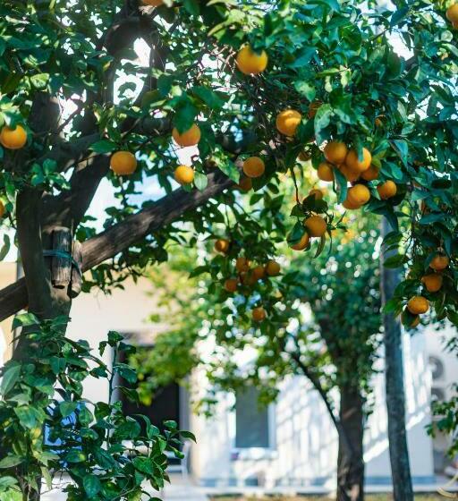 Апартаменты 1 Спальня Вид на Сад, Pane E Marmellata