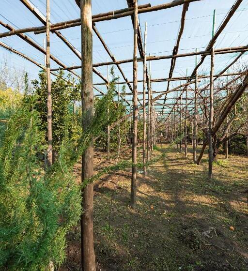 带1个卧室带花园景观的公寓, Pane E Marmellata