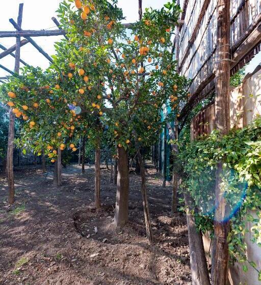 带1个卧室带花园景观的公寓, Pane E Marmellata