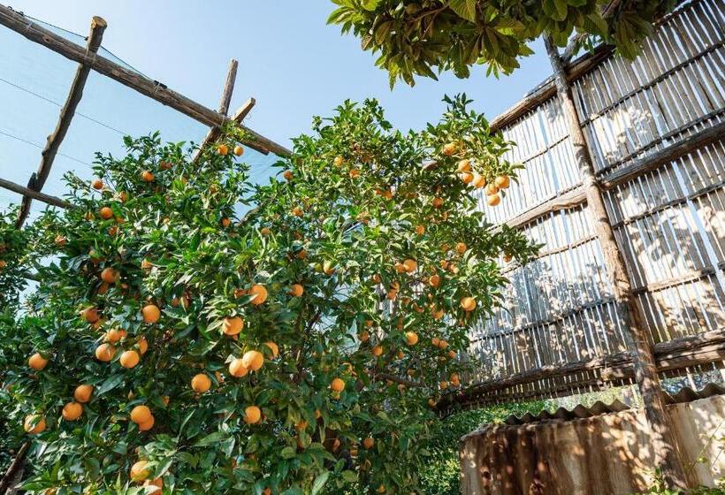 Апартаменты 1 Спальня Вид на Сад, Pane E Marmellata