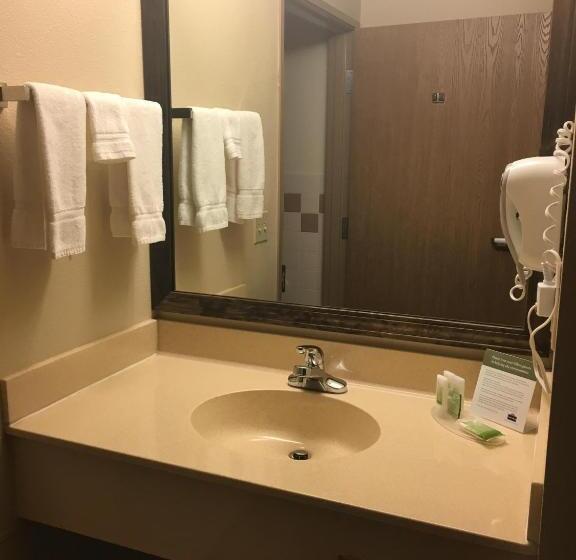 キングサイズベッドのスタンダードルーム, Americinn By Wyndham Monmouth