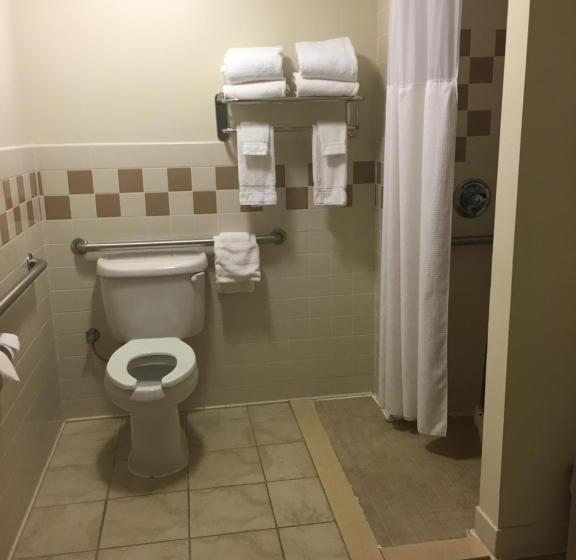 quarto Deluxe Adaptado para Deficientes Físicos, Americinn By Wyndham Monmouth