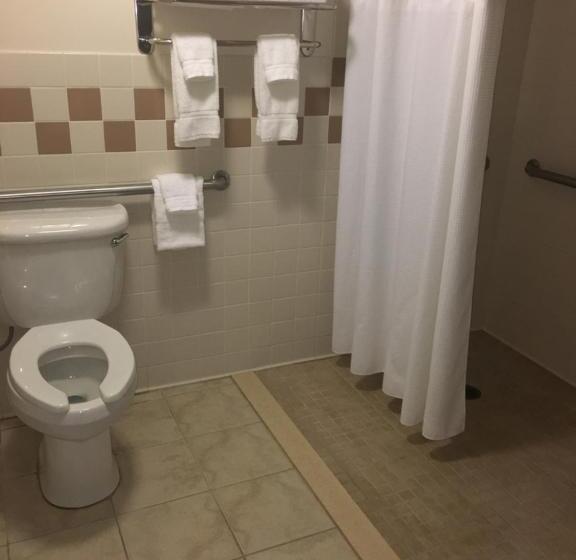 身障者適用キングサイズベッドルーム, Americinn By Wyndham Monmouth