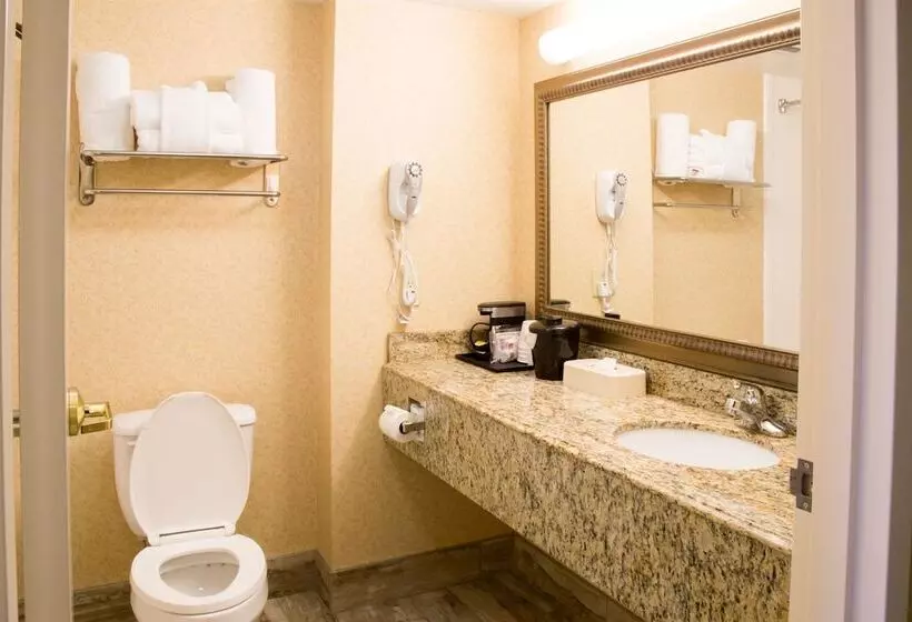 スイート, Best Western Executive Inn & Suites