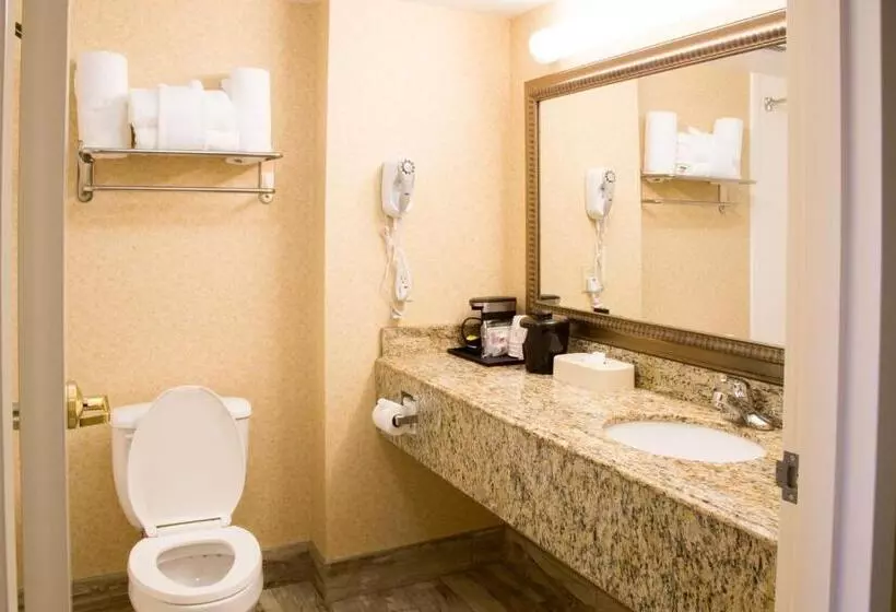 スタンダードルーム, Best Western Executive Inn & Suites