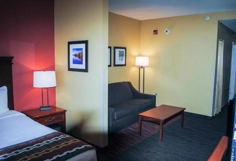 身障者適用キングサイズベッドルーム, Best Western Executive Inn & Suites