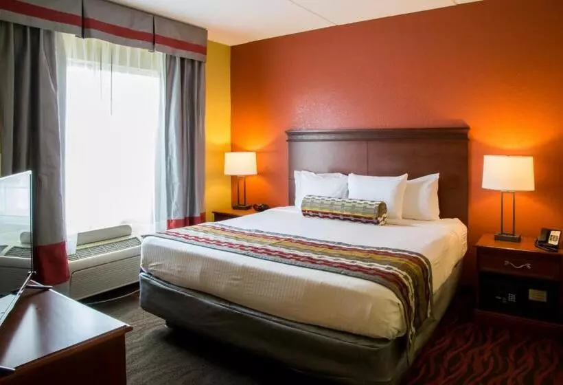 身障者適用キングサイズベッドルーム, Best Western Executive Inn & Suites