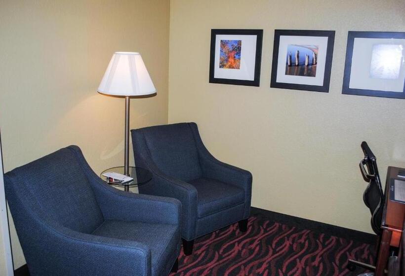 Номер Стандарт Адаптированный для Инвалидов, Best Western Executive Inn & Suites