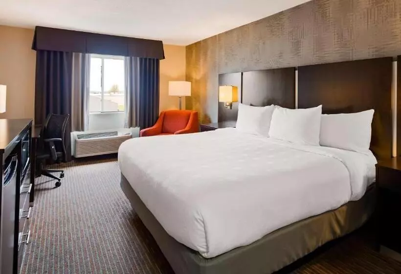 Standard-huone King-vuode, Best Western Muscatine Pearl City