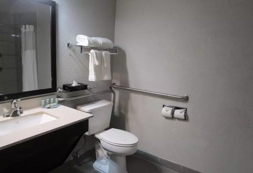 Standard-invahuone King-vuode, Best Western Muscatine Pearl City