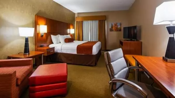 キングサイズベッドのスタンダードルーム, Best Western Plus Finger Lakes Inn & Suites