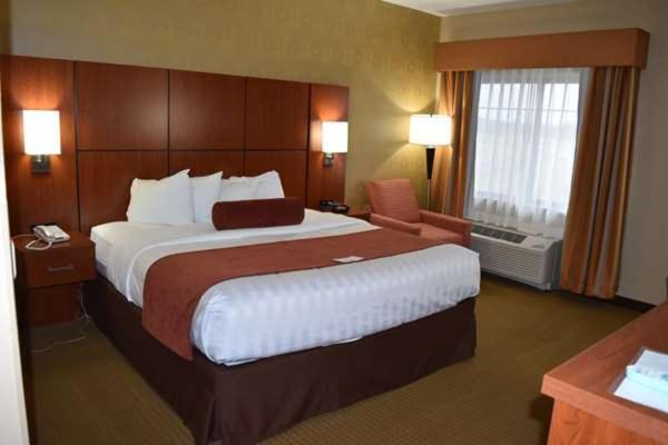 غرفة قياسية سرير كينج لذوى الإحتياجات الخاصة, Best Western Plus Finger Lakes Inn & Suites