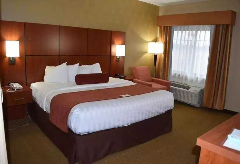身障者適用キングサイズベッドルーム, Best Western Plus Finger Lakes Inn & Suites
