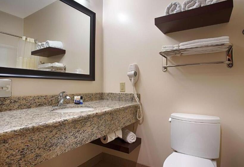 غرفة قياسية سرير كينج, Best Western Plus Finger Lakes Inn & Suites