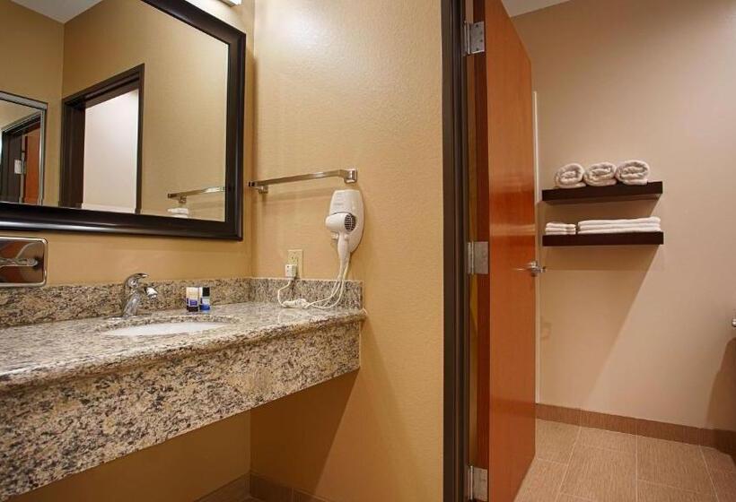 غرفة قياسية سرير كينج, Best Western Plus Finger Lakes Inn & Suites