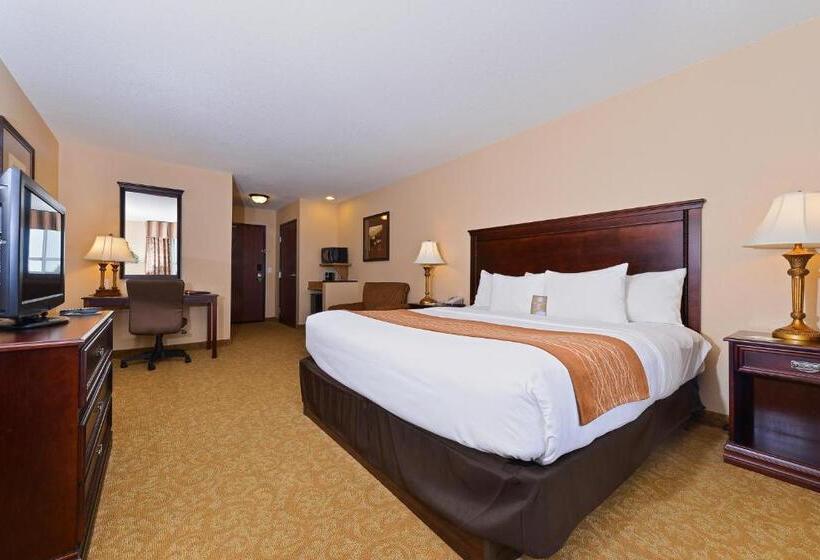 带大床的标准间, Comfort Inn & Suites Mcminnville Wine Country