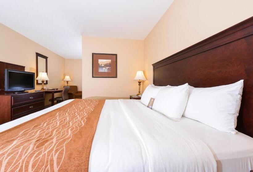 带大床的标准间, Comfort Inn & Suites Mcminnville Wine Country