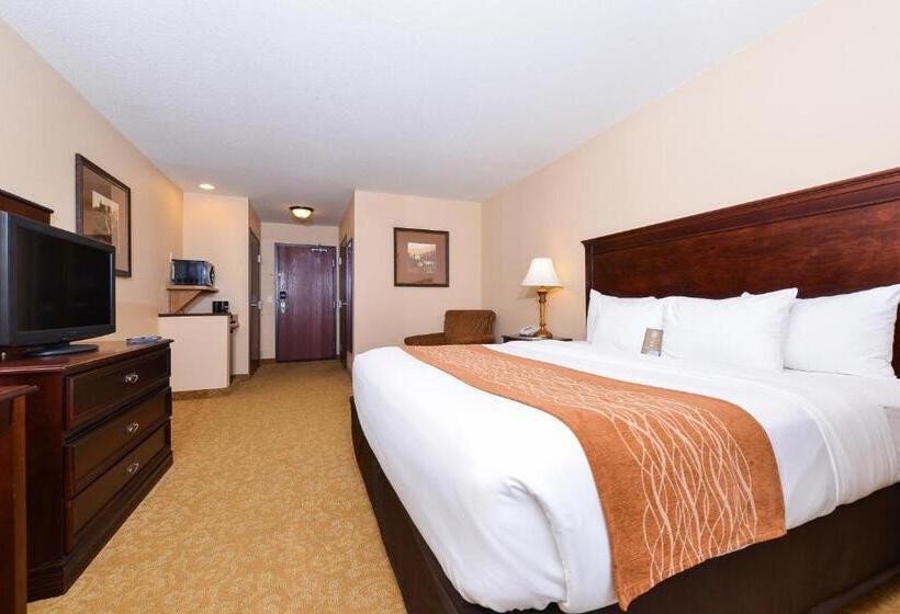 带大床的标准间, Comfort Inn & Suites Mcminnville Wine Country