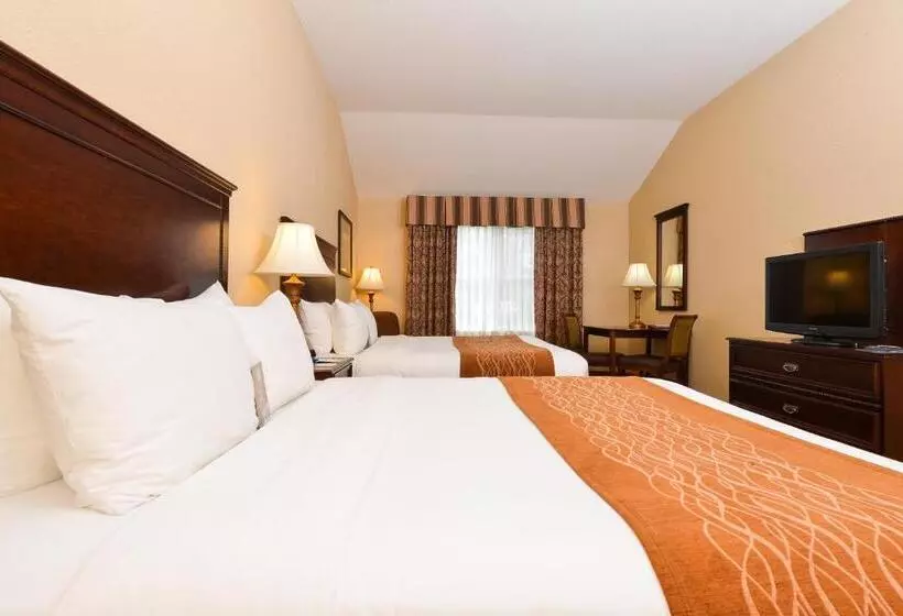 スタンダードルーム, Comfort Inn & Suites Mcminnville Wine Country