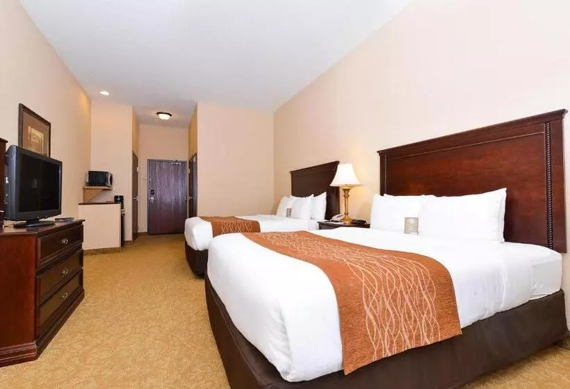 スタンダードルーム, Comfort Inn & Suites Mcminnville Wine Country