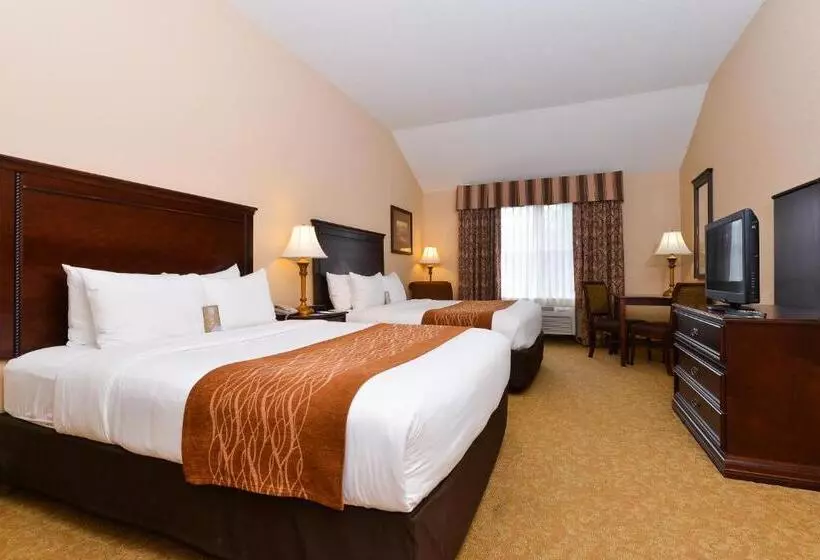 スタンダードルーム, Comfort Inn & Suites Mcminnville Wine Country