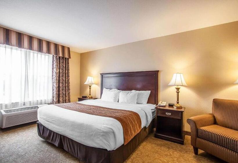 Люкс Кровать Кинг, Comfort Inn & Suites Mcminnville Wine Country