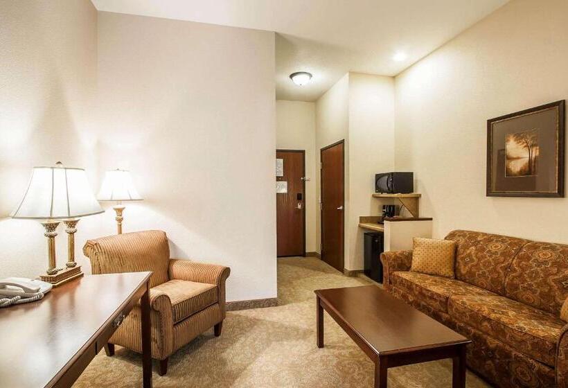 带大床的套房, Comfort Inn & Suites Mcminnville Wine Country