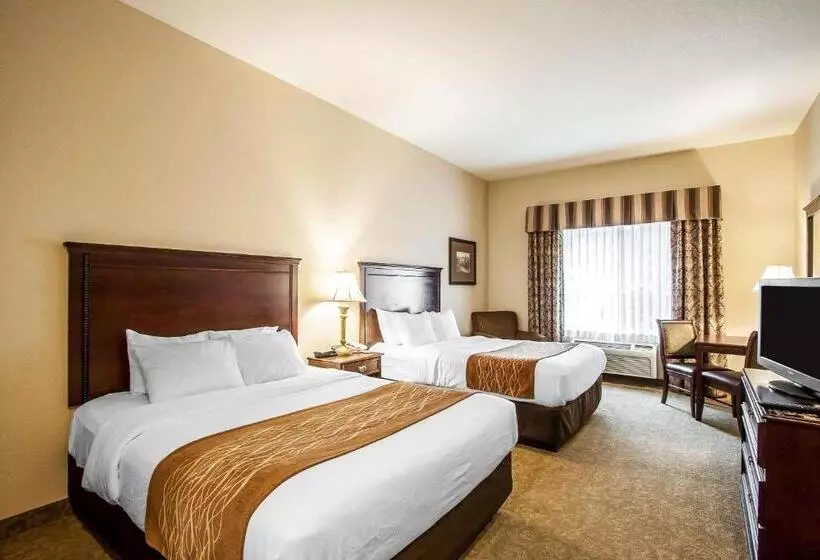 身障者適用スタンダードルーム, Comfort Inn & Suites Mcminnville Wine Country