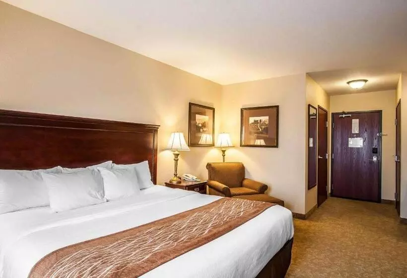 身障者適用キングサイズベッドルーム, Comfort Inn & Suites Mcminnville Wine Country