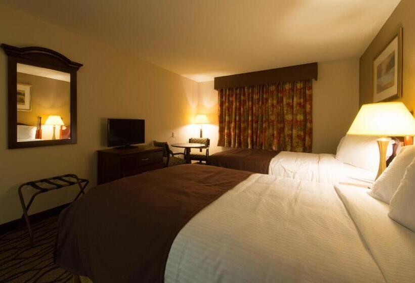 غرفة قياسية, Country Hearth Inn Toccoa