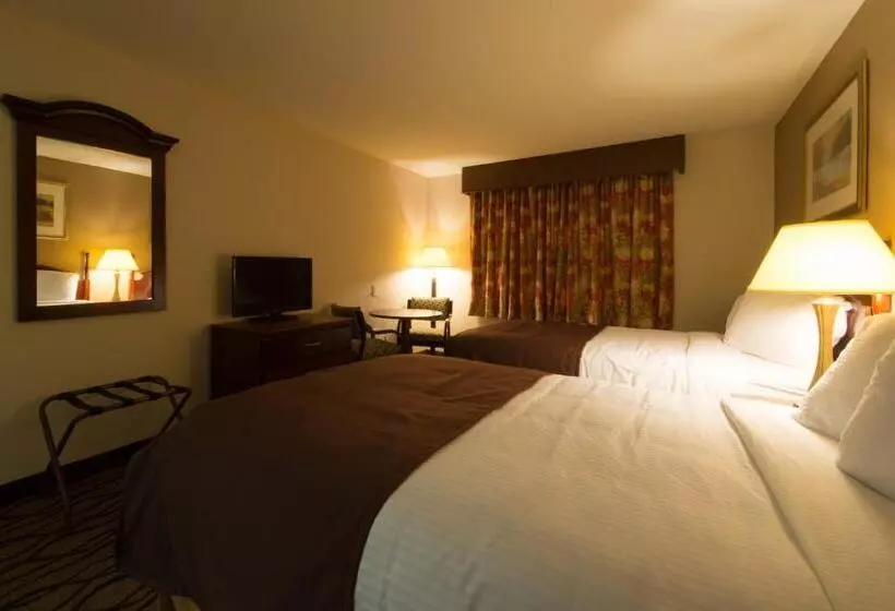 スタンダードルーム, Country Hearth Inn Toccoa