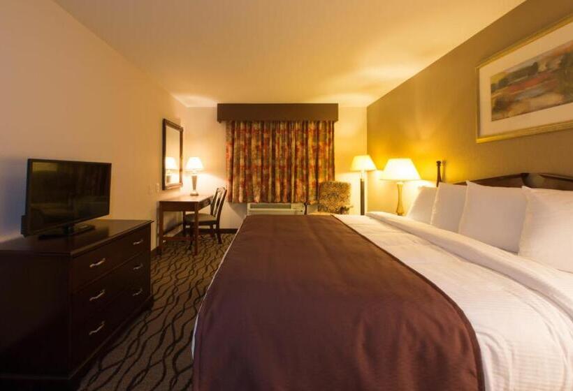 싱글 디럭스 룸, Country Hearth Inn Toccoa