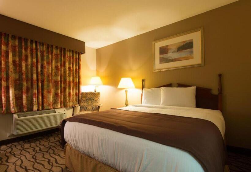 غرفة قياسية فردية, Country Hearth Inn Toccoa