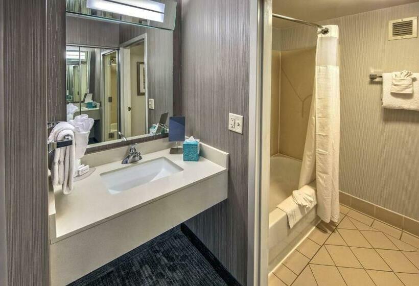 스탠다드 룸 킹사이즈 침대, Courtyard By Marriott Springfield