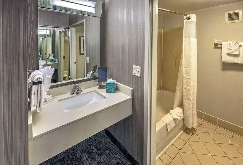 Standard-huone 2 Parivuodetta, Courtyard By Marriott Springfield
