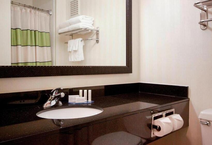 스탠다드 룸 킹사이즈 침대, Fairfield Inn By Marriott Forsyth Decatur