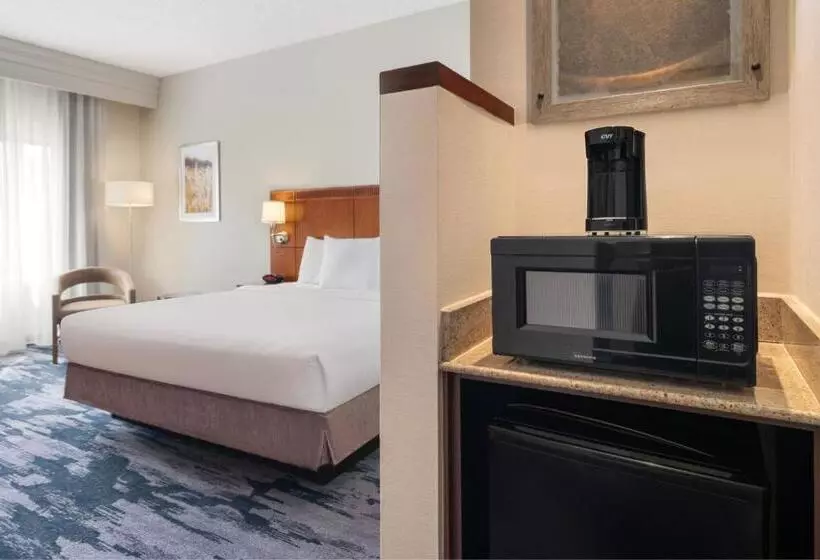 キングサイズベッドのスタンダードルーム, Fairfield Inn & Suites Orlando Ocoee