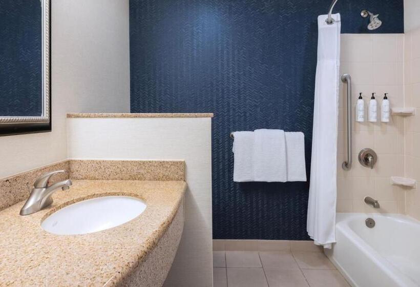 스탠다드 룸 킹사이즈 침대, Fairfield Inn & Suites Orlando Ocoee