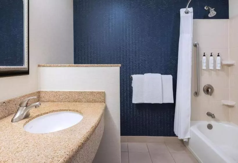 キングサイズベッドのスタンダードルーム, Fairfield Inn & Suites Orlando Ocoee