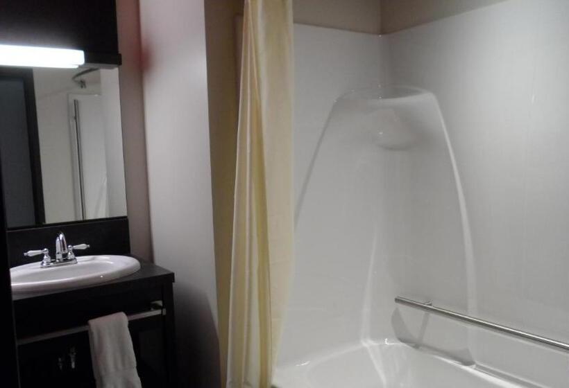 غرفة ديلوكس سرير كينج, Grand Hotel Times Sherbrooke