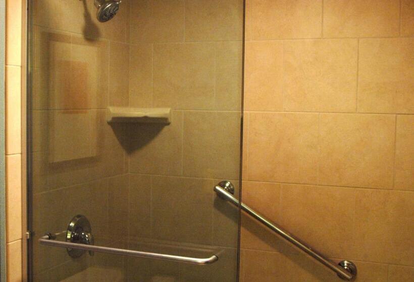 Стандартный Номер Кровать Кинг, Hyatt Place Reno/tahoe Airport