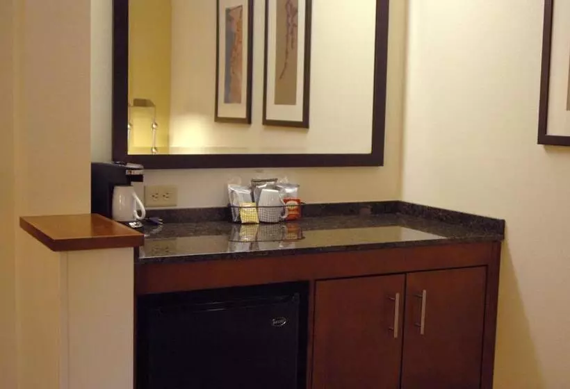 キングサイズベッドのスタンダードルーム, Hyatt Place Reno/tahoe Airport