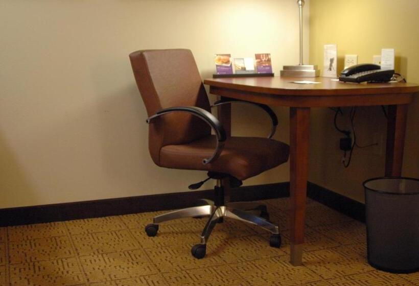 Стандартный Номер Кровать Кинг, Hyatt Place Reno/tahoe Airport