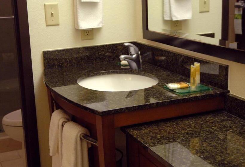 Стандартный Номер Кровать Кинг, Hyatt Place Reno/tahoe Airport