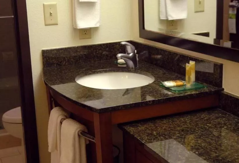 キングサイズベッドのスタンダードルーム, Hyatt Place Reno/tahoe Airport