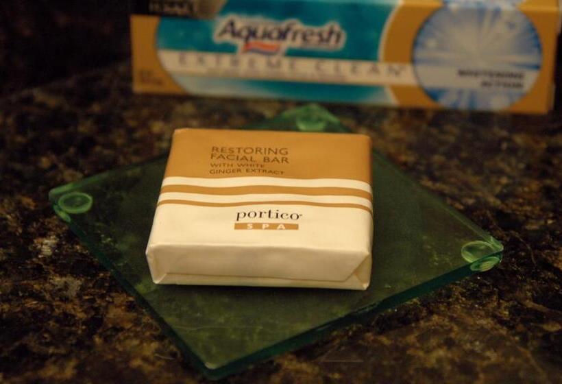 Стандартный Номер Кровать Кинг, Hyatt Place Reno/tahoe Airport