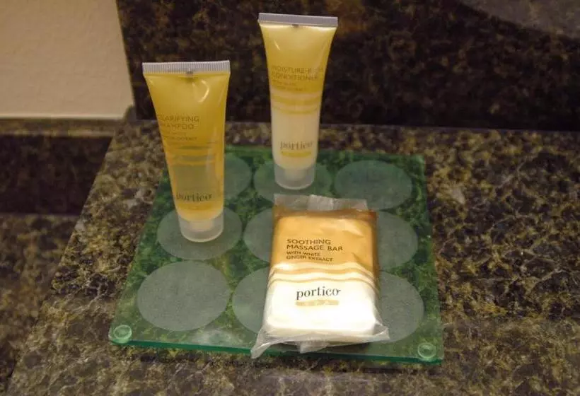 身障者適用スタンダードルーム, Hyatt Place Reno/tahoe Airport