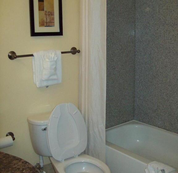 Стандартный Номер Кровать Кинг, Magnolia Inn And Suites Pooler