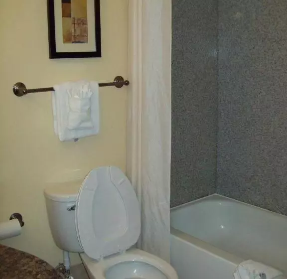 キングサイズベッドのスタンダードルーム, Magnolia Inn And Suites Pooler