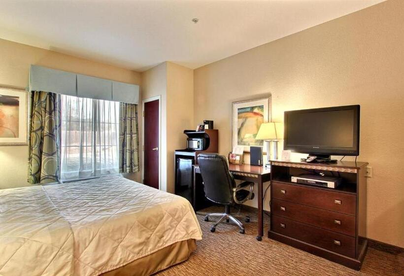 اتاق استاندارد با تخت بزرگ, Magnolia Inn And Suites Pooler